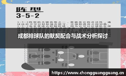 成都排球队的默契配合与战术分析探讨